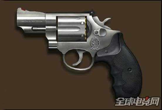 CFSWM66�������Խ���