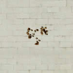 CFMP7A1��������