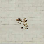 CFMP7A1��������