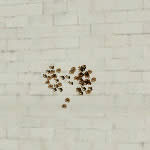 CFMicro Galil-S���ǹ��������