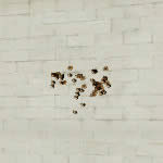 CFMicro Galil-S���ǹ��������