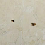 CFMP7���ǹ��������