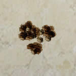 CFMP7���ǹ��������