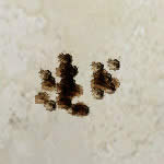 CFMP7���ǹ��������