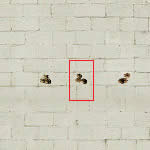 CF��ķѷ���ǹ����