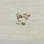 CF��ķѷ���ǹ����