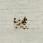 CF��ķѷ���ǹ����