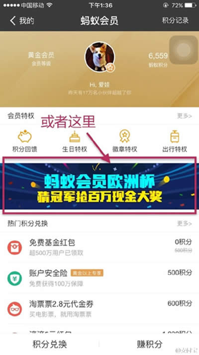 ֧����ŷ�ޱ�