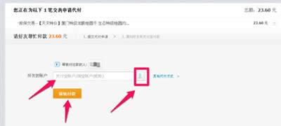 ֧�������˴���