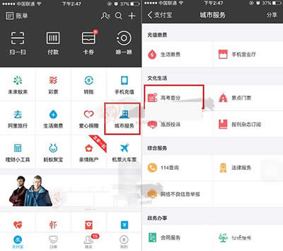 ֧������ѯ�߿��ɼ�