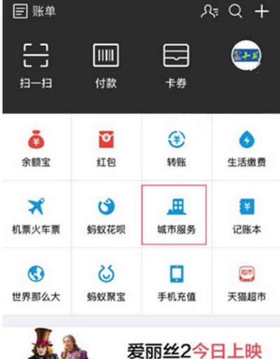 ֧������ϵ����ʦ��