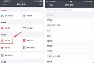 ֧����ԤԼ��Ʊͼ�Ĳ���