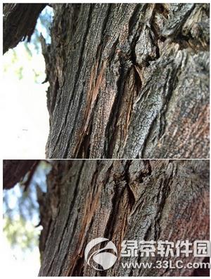 iphone6s plus������note5�����ĸ���1