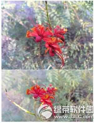 iphone6s plus��3��note5������һ����