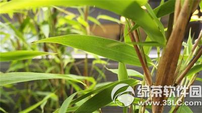 ��ݮpriv��ô�� ��ݮ��׿�ֻ�priv������������8