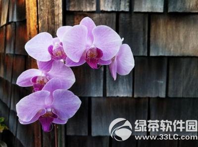 nexus6p������note5�ĸ��� nexus6p������note5�Ա�3