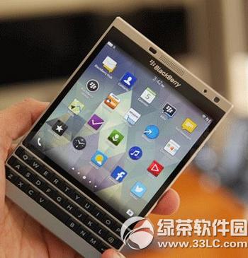 ��ݮpassport��ɫ������ ��ݮpassport��ɫ������������Ƶ