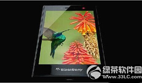 ��ݮleap�������� ��ݮleap���ò�������