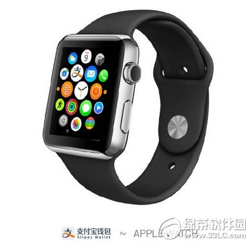 apple watch֧����ʹ�÷���ͼ�Ľ���