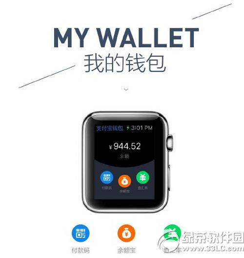 apple watch֧����ʹ�÷���ͼ�Ľ���1