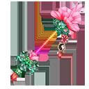 ��è�ƻ����պò��� ��è�ƻ������������2