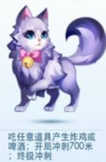 ������ܺ����������ǵ�è��һ���� �������û������ǵ�è��