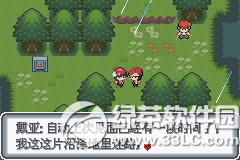 �ڴ����ְ׽��ͼ�Ĺ��� �׽��v1.1�޸���һ/��/����Ŀͼ�Ĺ���