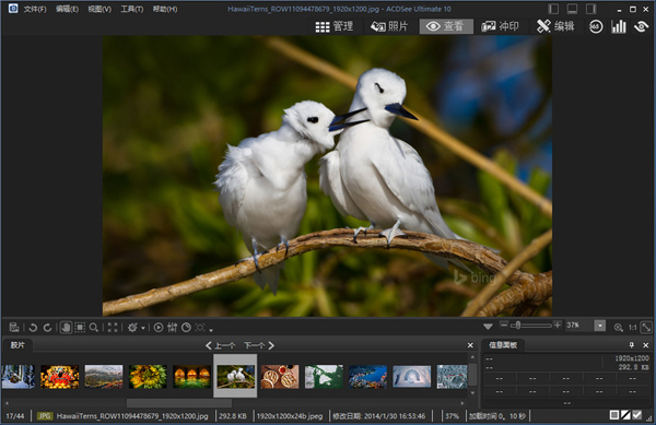 ACDSee����ͼ�����ĸ��ã�ACDSee����ͼ�����Ա�