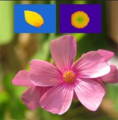 ���ʹ��Adobe Photoshop CS6���ܲο��ߣ�