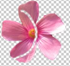 如何使用Adobe Photoshop CS6制作gif动画?