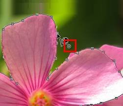 如何使用Adobe Photoshop CS6制作gif动画?