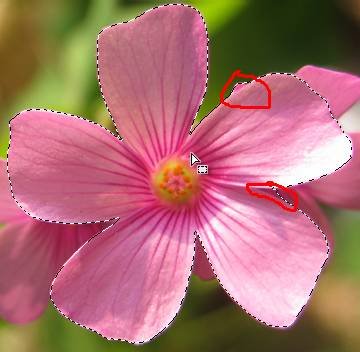 如何使用Adobe Photoshop CS6制作gif动画?