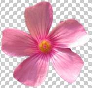 如何使用Adobe Photoshop CS6制作gif动画?