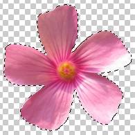 如何使用Adobe Photoshop CS6制作gif动画?