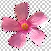 如何使用Adobe Photoshop CS6制作gif动画?