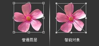 如何使用Adobe Photoshop CS6制作gif动画?