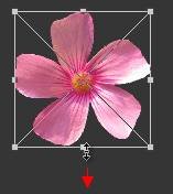 如何使用Adobe Photoshop CS6制作gif动画?