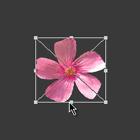 如何使用Adobe Photoshop CS6制作gif动画?