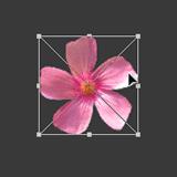 如何使用Adobe Photoshop CS6制作gif动画?