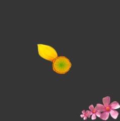 如何使用Adobe Photoshop CS6制作gif动画?