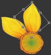 如何使用Adobe Photoshop CS6制作gif动画?