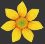 如何使用Adobe Photoshop CS6制作gif动画?