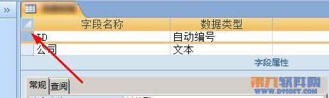 Access������ֶζ�������