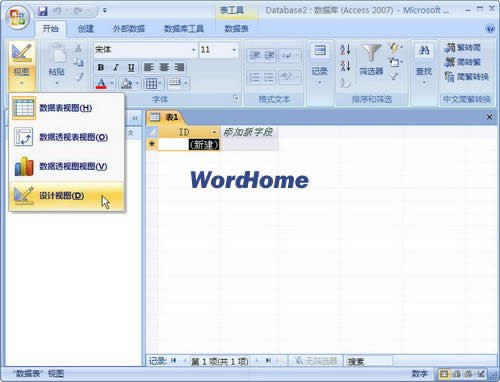 Access2007�������ݱ���ͼ�������ͼ