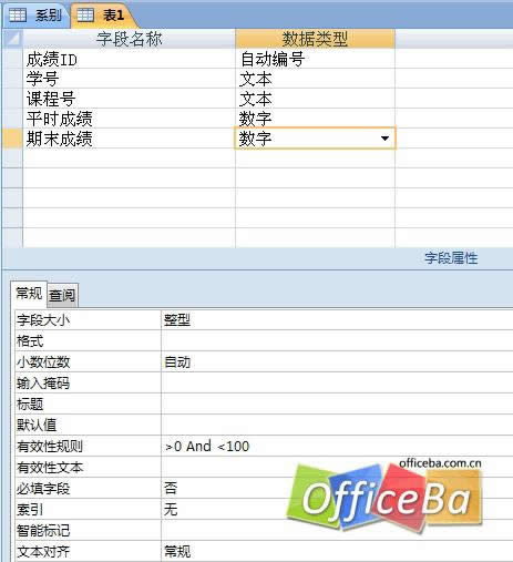 ���� Access 2007 ��