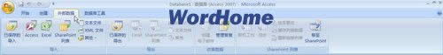 Access2007���������