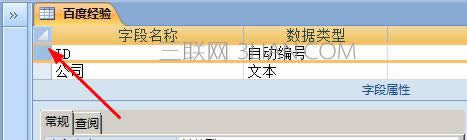 access��������Զ�����������