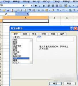 Excel2010��Ԫ������0��ͷ���ֲ���ʾ������