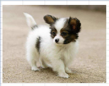 Office2010�й���ǿ���ͼƬ����ɾ������ ���Ľ̳�