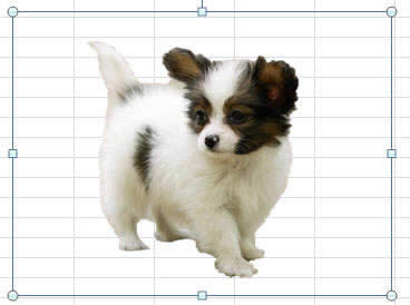 Office2010�м���ǿ���ͼƬ����ɾ������